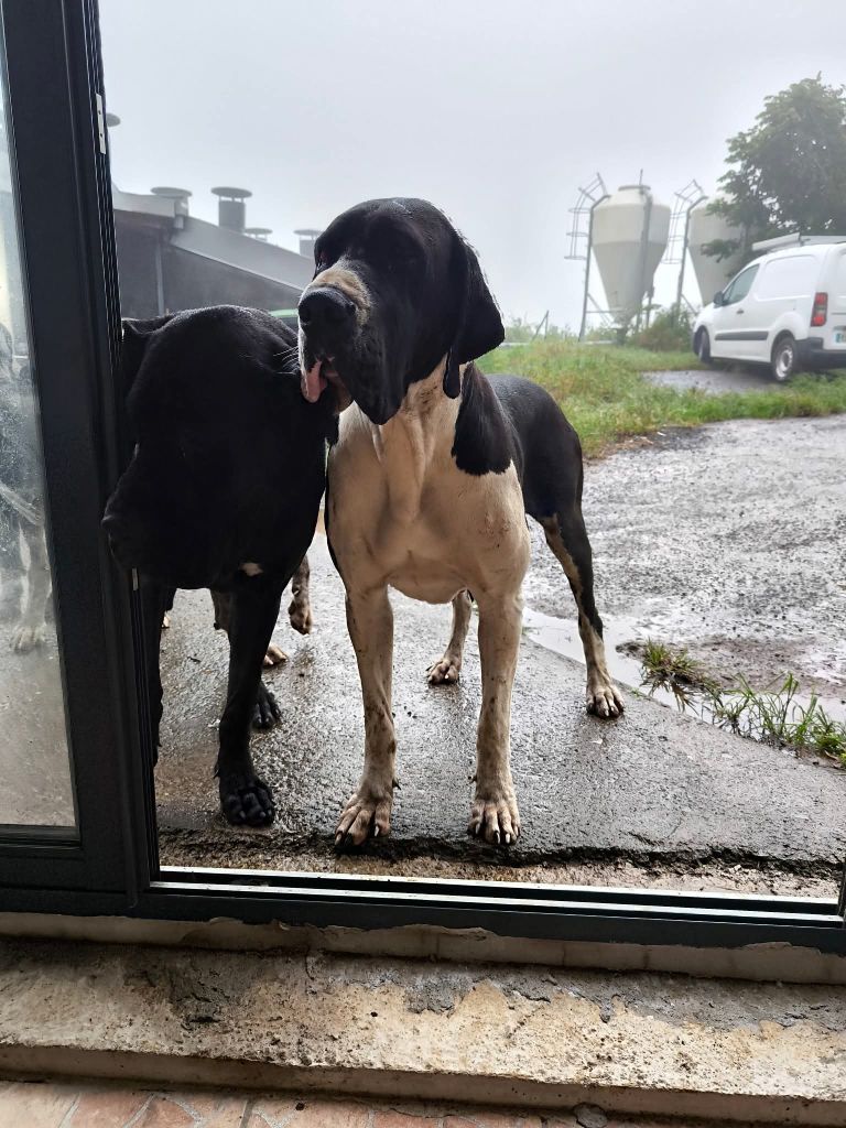 Unka Du Domaine De Thorgal